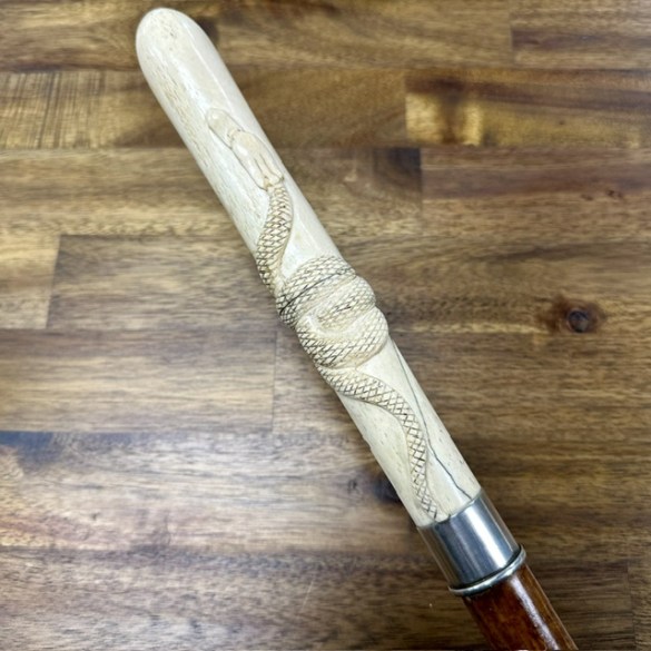 Walking Stick 2